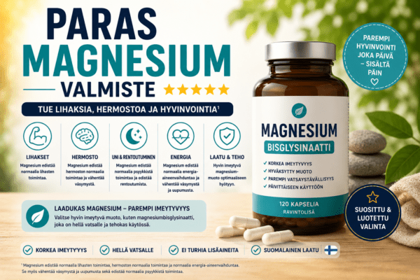 Paras magnesium valmiste
